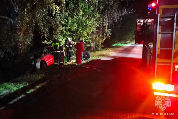 В Фурманове автомобиль врезался в дерево, пострадали двое 