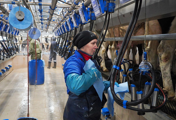 За 5 лет продуктивность в молочном производстве в регионе выросла на 17%