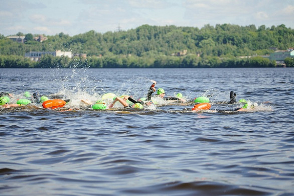  В Кинешме пройдет третий заплыв «Swimcup – Волга» 