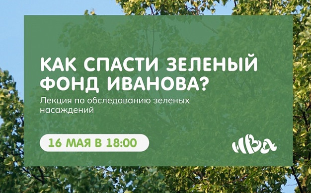  В Иванове проведут учет зеленых насаждений 