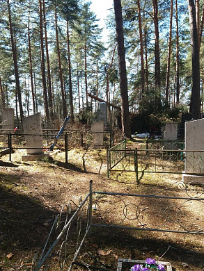В Холуе ураган завалил кладбище снесенными деревьями