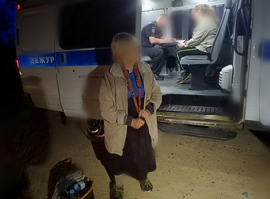  В Тейковском районе компания грибников потеряла в лесу 77-летнюю бабушку 