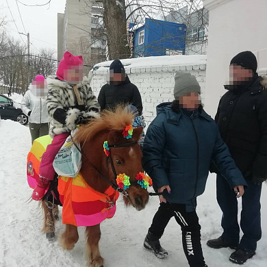 В Иванове лошадники незаконно привлекают к работе детей