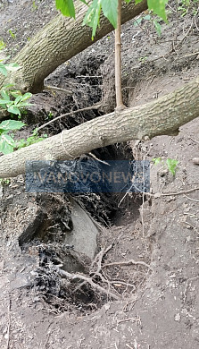  В Иванове проваливается земля вокруг многоэтажки 
