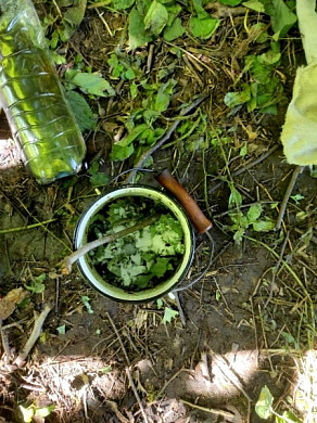  В Ивановской области задержан наркоман, варивший зелье на костре 