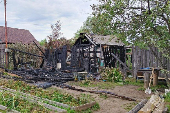 В Ивановской области горели гаражи, хозпостройки, разные дома и ДЕРЕВО