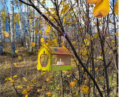 В Новой Дерябихе жители устроили в березовой роще птичью столовую