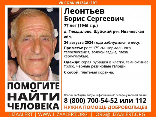 В Шуйском районе разыскивают 77-летнего грибника