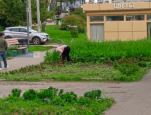 На проспекте Ленина женщина полет траву по своей инициативе