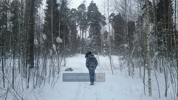  Убитого под Кохмой мужчину опознали по отпечаткам пальцев 