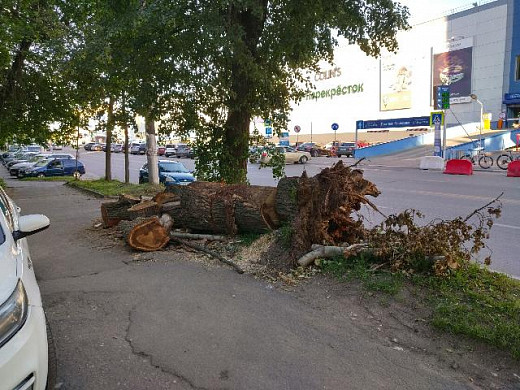 Коммунальные службы города не убрали спиленные деревья