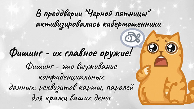 Накануне «черной пятницы» активизировались интернет-мошенники