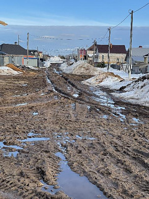 Жители Беляниц оказались в заложниках у бездорожья