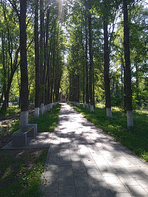 Жители поселка Савино ждут уличного освещения