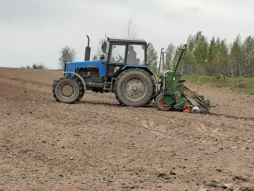 В колхозе имени Арсения приступили к севу кукурузы