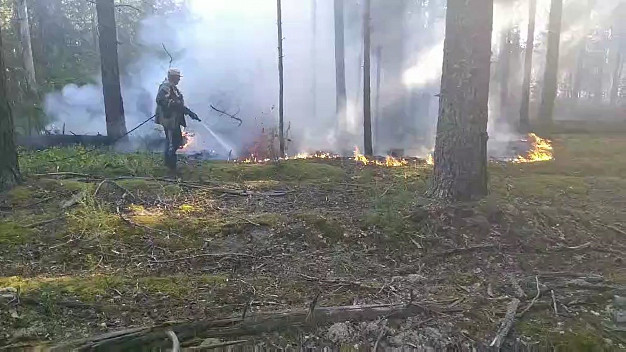 В Пестяковском районе ликвидировали лесной пожар