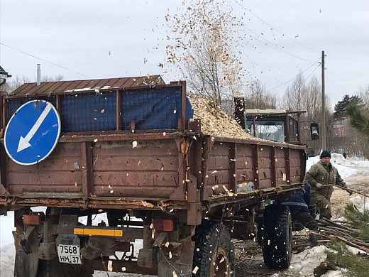 В Палехе избавляются от больных деревьев