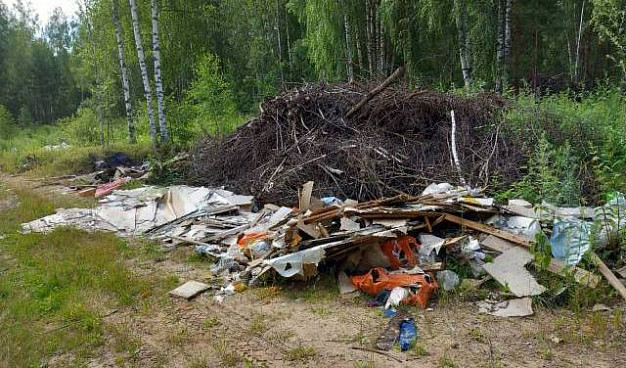 Почти 50 несанкционированных свалок выявлено в Ивановской области