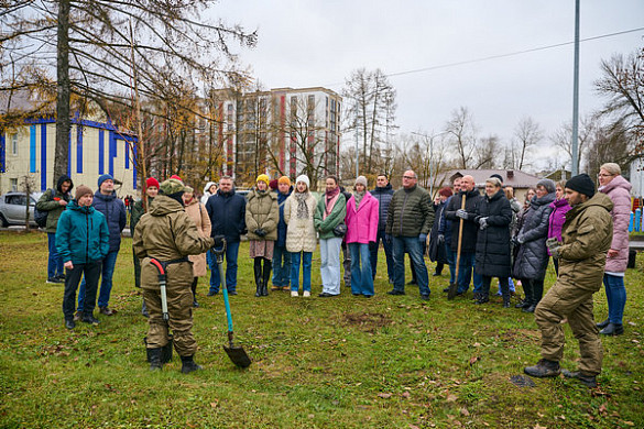 Как «Нейрософт» превратил шаги в деревья для города