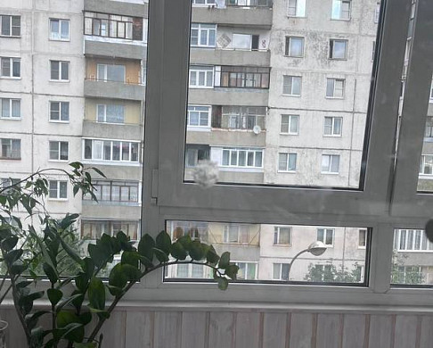  В Иванове в квартиру молодой семьи прилетела пуля 