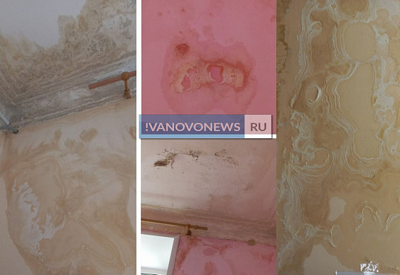 В Иванове родители жалуются на грибок на стенах спальни в ясельной группе
