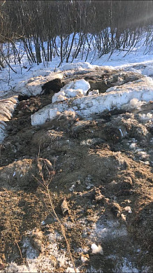  В Тейковском районе обнаружили свалку шкур и костей 