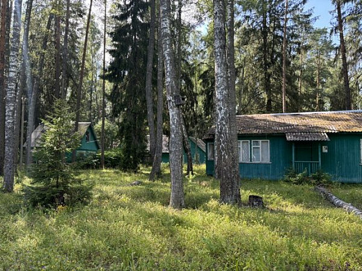 Бывший лагерь ИвГУ на Рубском озере продадут на аукционе