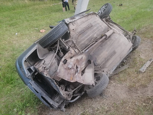 Женщина и собака погибли в жутком ДТП в Ивановской области
