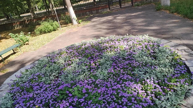В Иванове определены победители конкурса «Цветущий город»