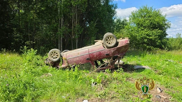 Двое погибли, еще двое — в больнице: в Южском районе автомобиль вылетел в кювет