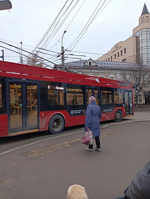 В Иванове за собаку-проводника требовали оплатить проезд