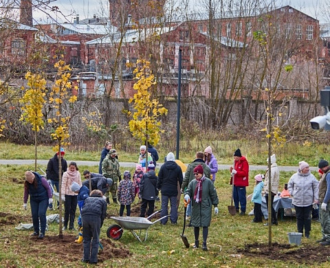 В Иванове посадят деревья в память об участниках Великой Отечественной войны 