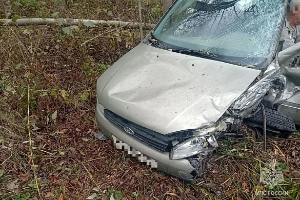 Двое взрослых и один ребенок пострадали при столкновении четырех авто в Лежневском районе 