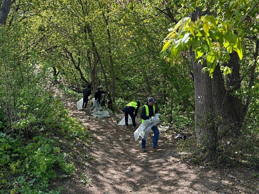  В Иванове из Варгинского оврага вывезли 40 мешков мусора 