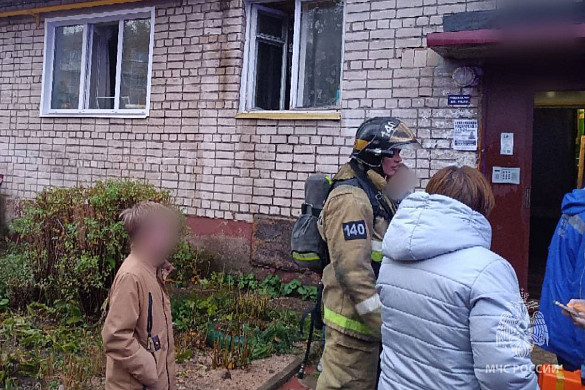 Кинешемские пожарные спасли из огня женщину и кошку