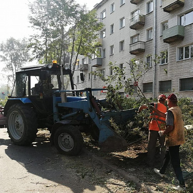 В Иванове на перекрестке  улиц 8 Марта и Калинина спилили аварийные деревья