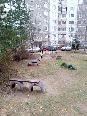Участковый не против кормления птиц на придомовой территории