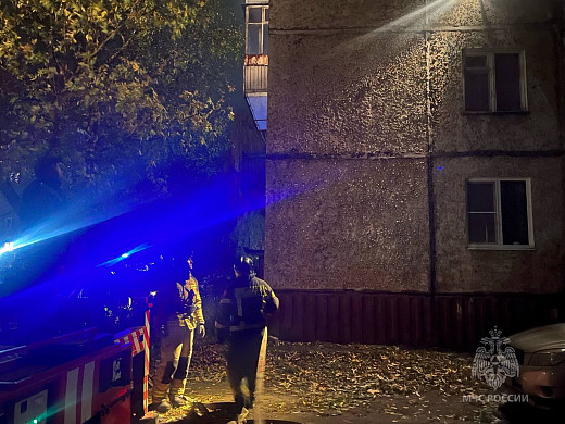 В Иванове во время пожара в многоэтажке эвакуировали взрослых, детей и собак