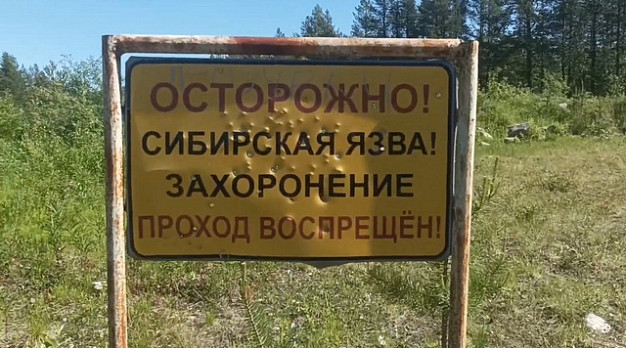 В Ивановской области законсервировано более 50 сибиреязвенных скотомогильников