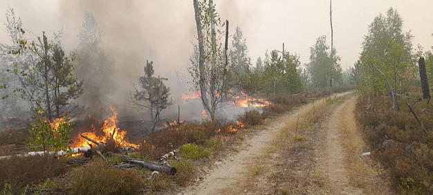  В Южском районе Ивановской области вводится режим ЧС 