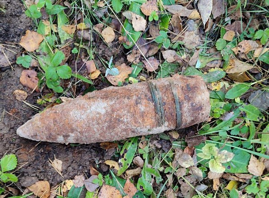  В Ивановской области грибник нашел снаряд времен Великой Отечественной 