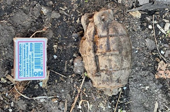 В Тейкове огородники выкопали на грядках гранату