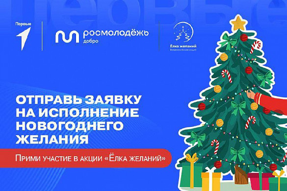 В Ивановской области стартовала акция «Ёлка желаний»