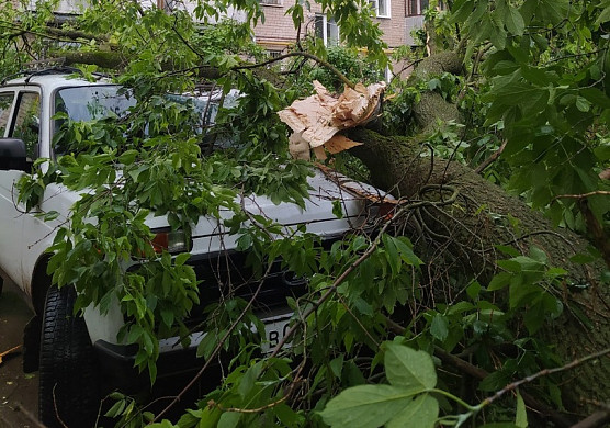 Поваленные непогодой деревья перегородили проезды в Иванове и повредили автомобили